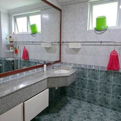 The Springside (D26), Terrace #509508501